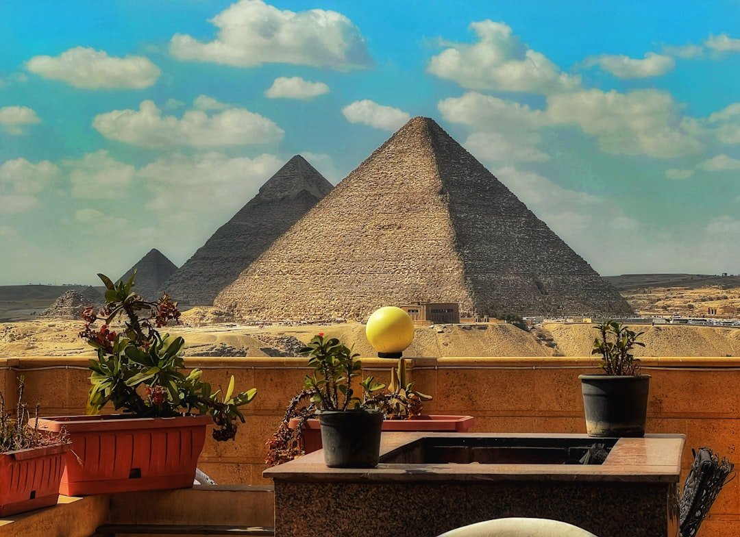 أفضل شركة تصميم مواقع إلكترونية في مصر 2026 | نولا تك